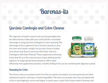 Tablet Screenshot of baronas-its.org